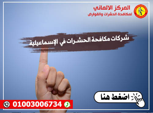 شركات مكافحة الحشـرات في الإسماعيلية