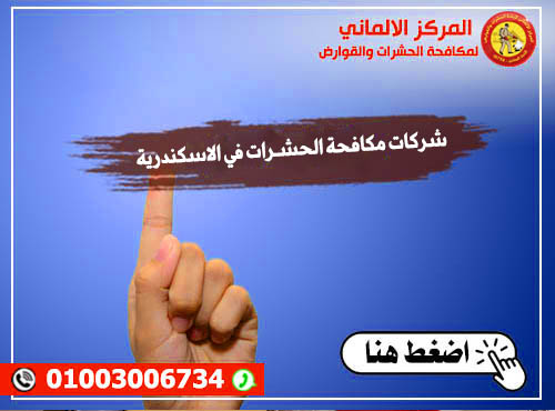 شركات مكافحة الحشـرات في الاسكندرية