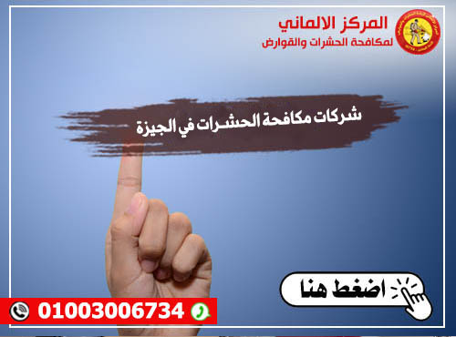 شركات مكافحة الحشـرات في الجيزة