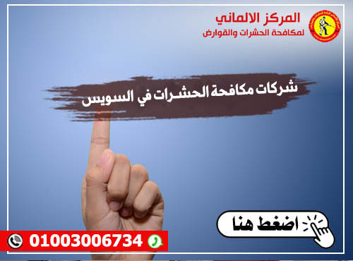 شركات مكافحة الحشـرات في السويس