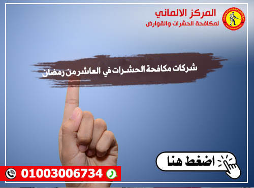 شركات مكافحة الحشـرات في العاشر من رمضان