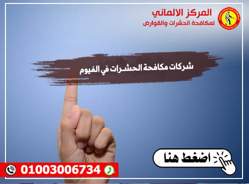 شركات مكافحة الحشـرات في الفيوم