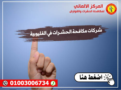 شركات مكافحة الحشـرات في القليوبية