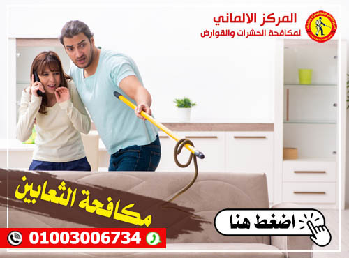 مكافحة الثعابين- المركز الالماني لمكافحة الحشرات