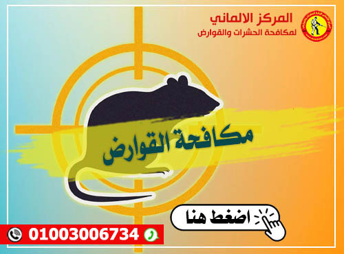 مكافحة القوارض - المركز الالماني لمكافحة الحشرات