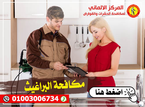 مكافحة حشرات البراغيث