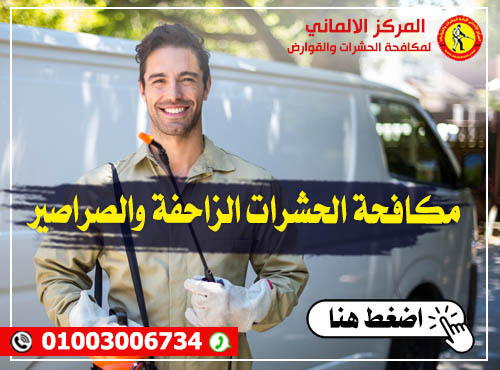 مكافحة حشرات الصراصير - المركز الالماني لمكافحة الحشرات