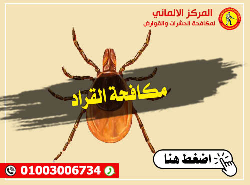 مكافحة حشرة القراد