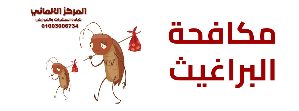 مكافحة البراغيث