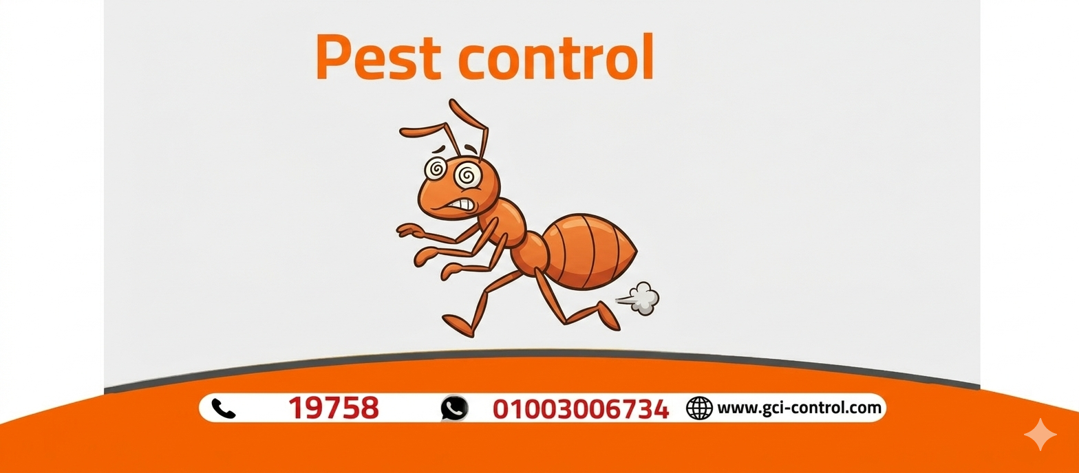 مكافحة النمل