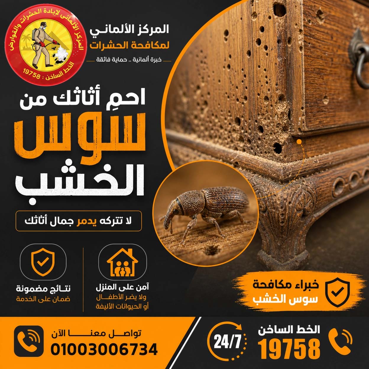 woodworm_سوس الخشب_2026