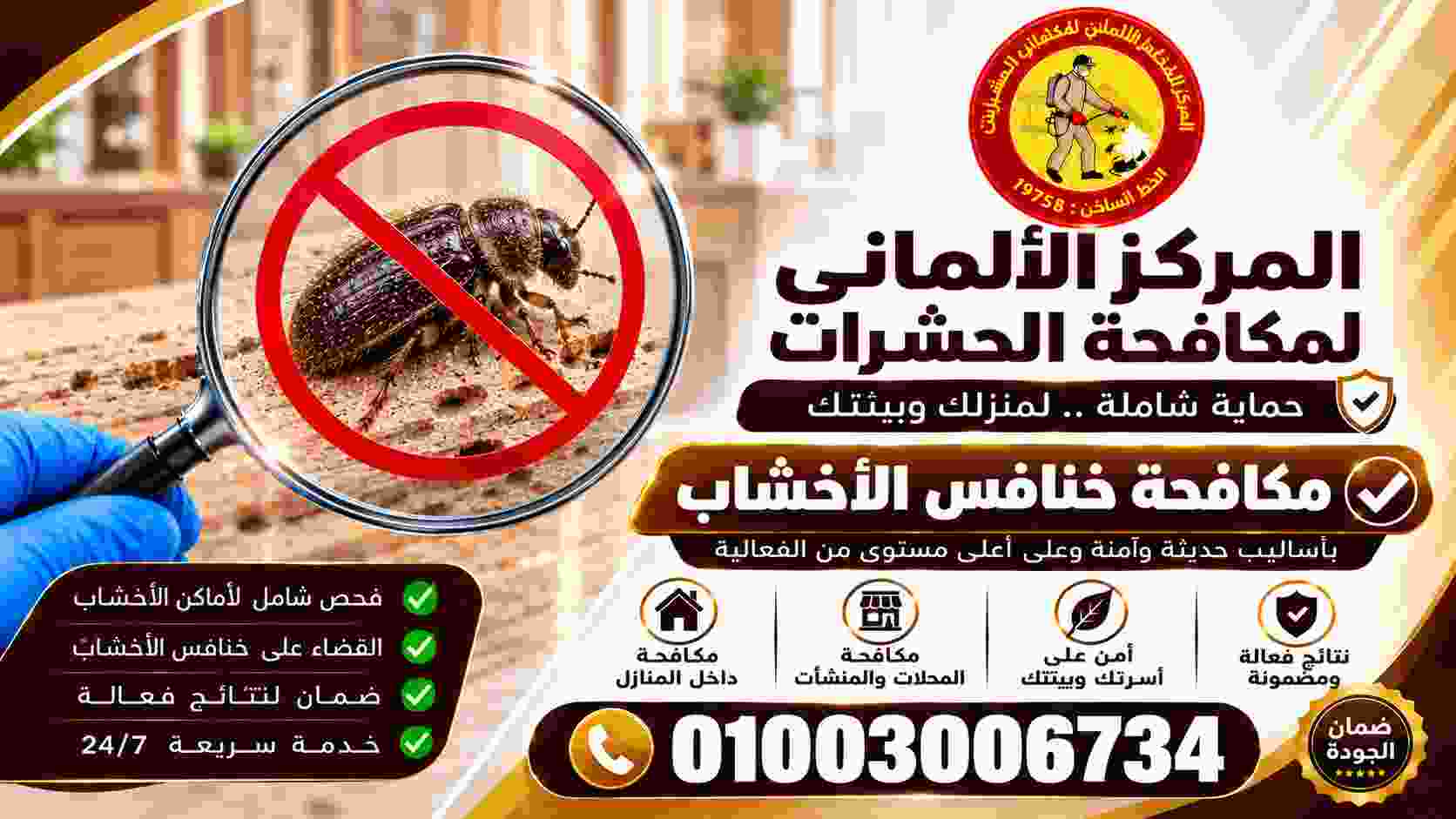 مكافحة خنافس الخشب في مصر
