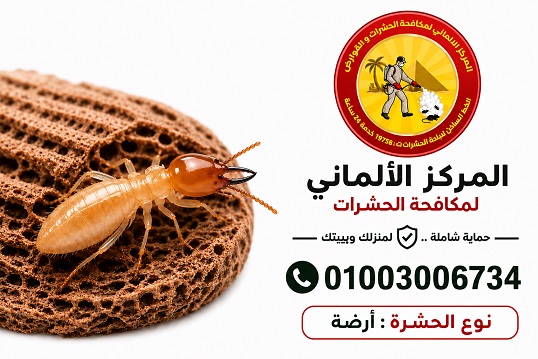 حشرة الارضه