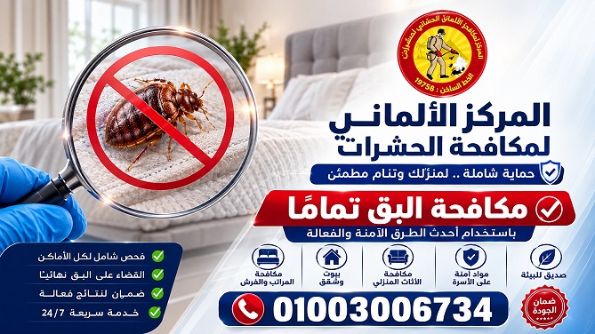 مكافحة البق في مصر