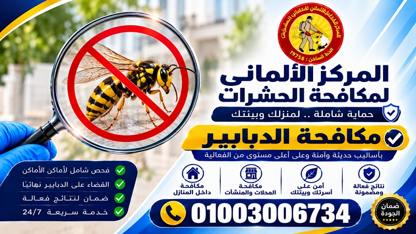 مكافحة الدبابير في مصر
