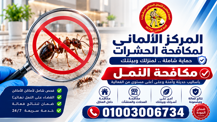 مكافحة النمل
