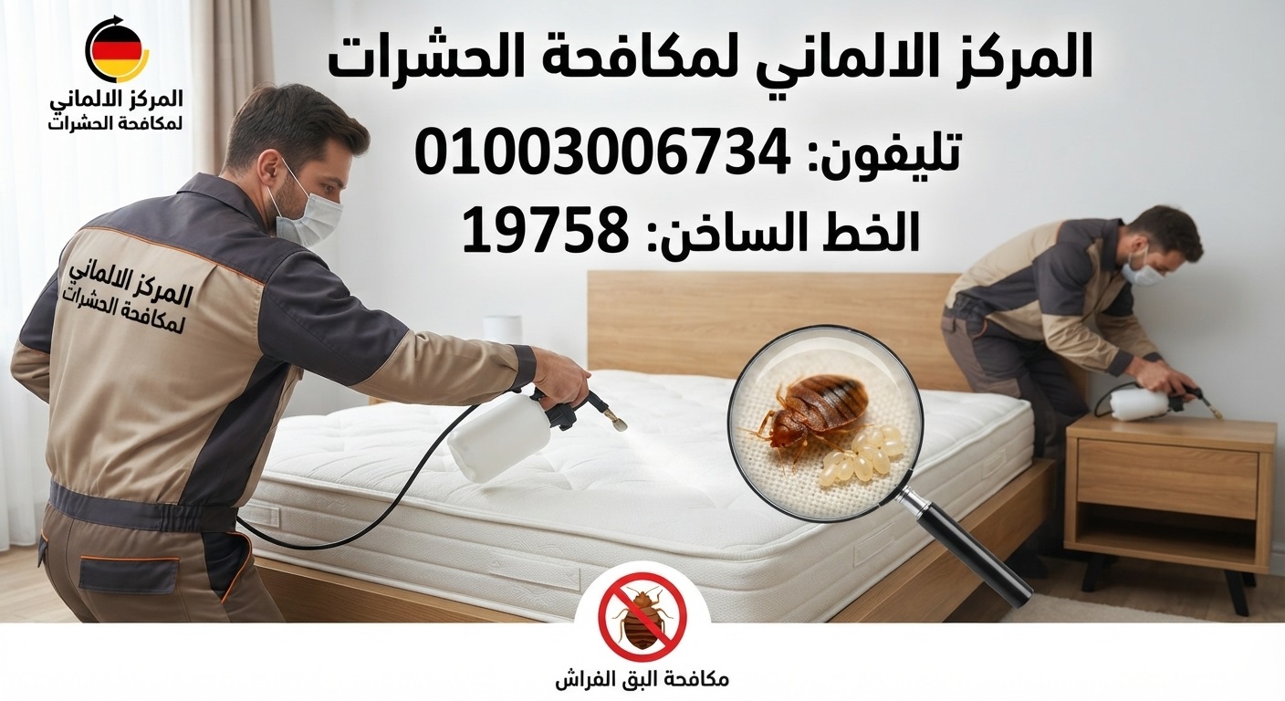 مكافحة حشرات البق الالمانية